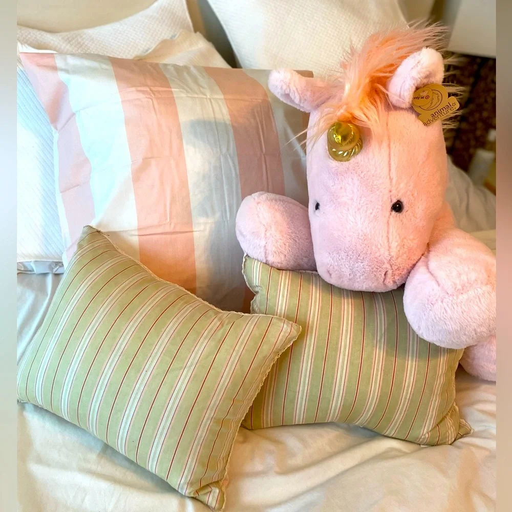Set of 2 Boutique Feather filled pillows for Nursery or Child’s room 12x16